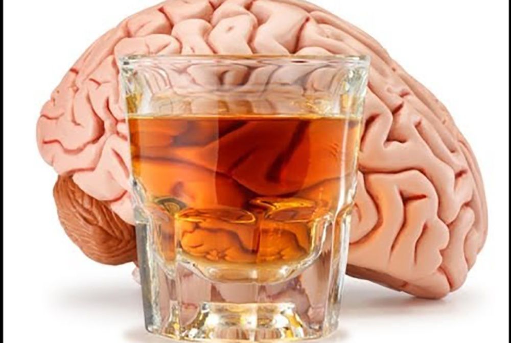 Этиловый спирт и головной мозг