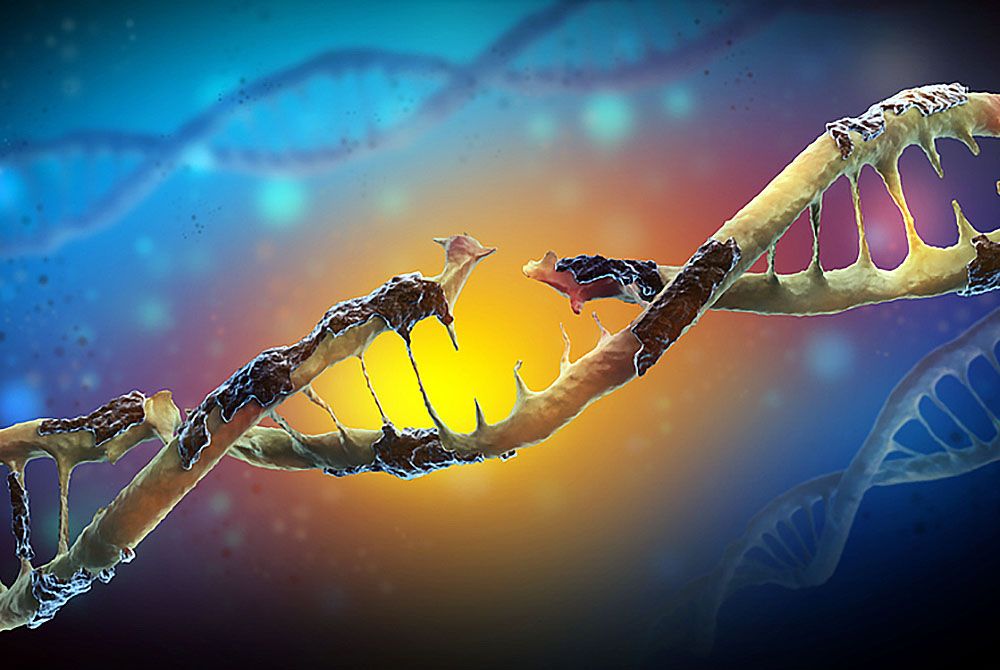 Алкоголь способен повреждать ДНК