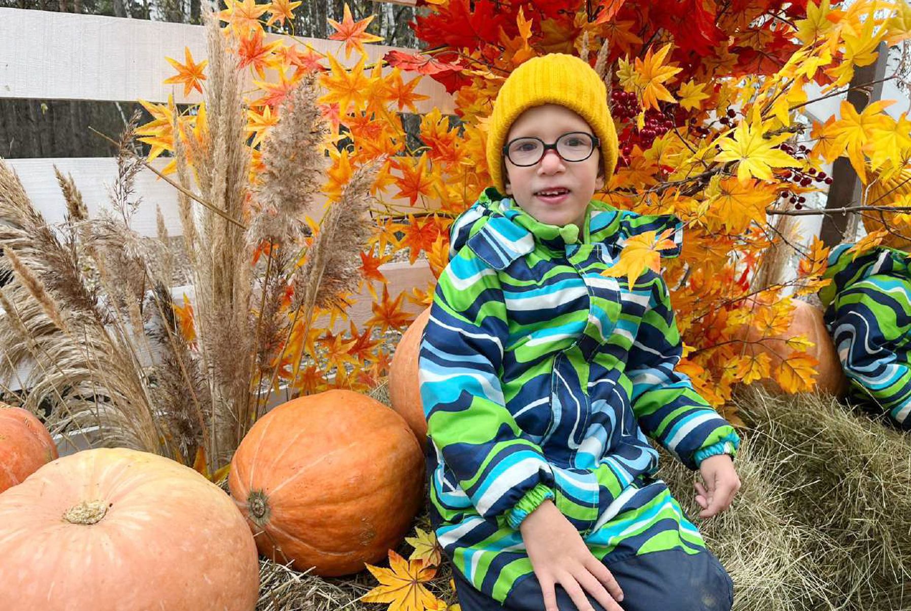 Акция «Помощь Роману»